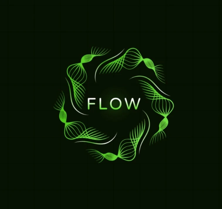 Flow AI